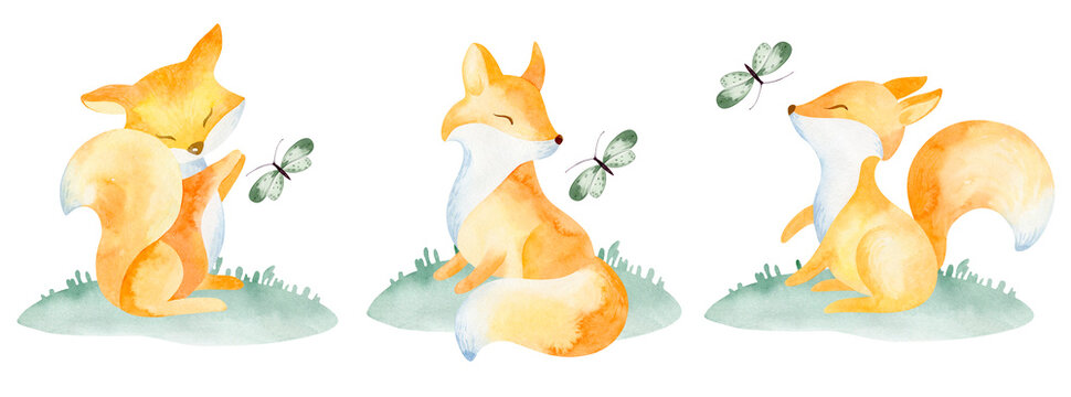 A set of PNG images of cute foxes. Watercolor illustration cartoon character fox cub, butterfly. Hand painted on a white background. For design, prints, poster, postcard or background.