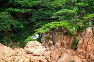 무의도 해상탐방로