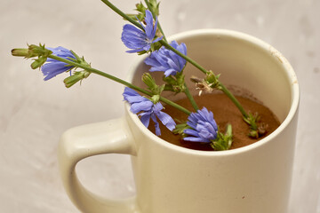 chicory powder and chicory flowers in a coffee mug