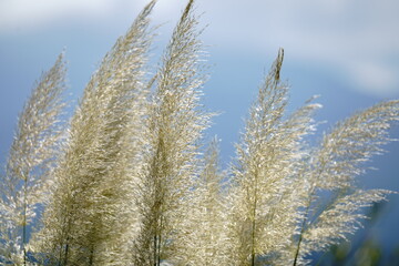 fall is around the corner