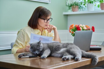 Business woman working from home, using laptop, along with pet cat