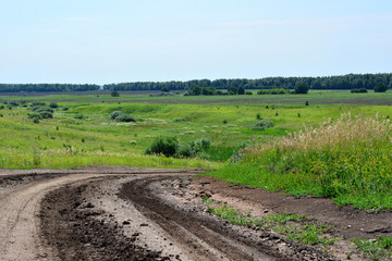 Fototapeta na wymiar dirty country road with tire track going down green hill with forest line on horizon