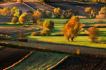 Autumn, view of the road and farmland - Ponidzie, Poland.
Jesień, widok na drogę i pola uprawne - Ponidzie, Polska. 
 - obrazy, fototapety, plakaty