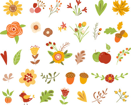  PNG, transparent, Autumn floral set Colorful floral collection with yellow terracotta flowers leaves apple acorn berries Floral elements for wedding invitation Autumn floral clipart illustration