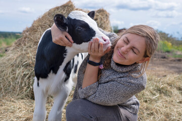 pretty black-white new born calf posing with farmer. close up
