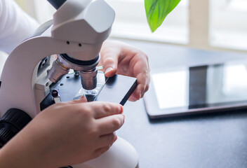 Close-up of child's hands installing glass with laboratory materials in microscope for research, science lab kids concept