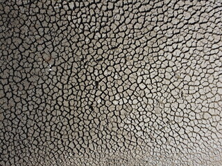 &eacute;tang ass&eacute;cher en vue a&eacute;rienne, crat&egrave;re visible de s&egrave;cheresse.