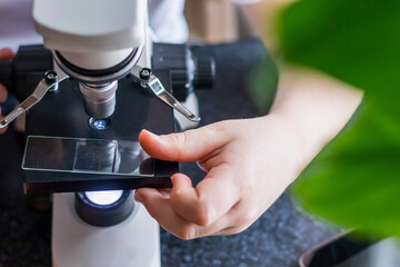 Close-up of child's hands installing glass with laboratory materials in microscope for research, science lab kids concept