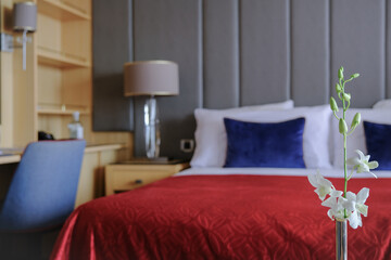 Luxurious ocean view or oceanview or outside balcony veranda cabin stateroom suite queen king...