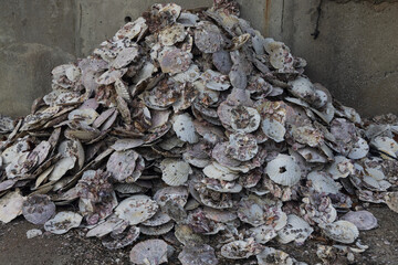 日本の岡山県備前市日生の頭島の懐かしくて美しい風景