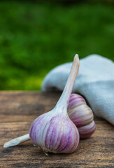 Two ripe juicy garlic heads in the fresh air on a wooden background