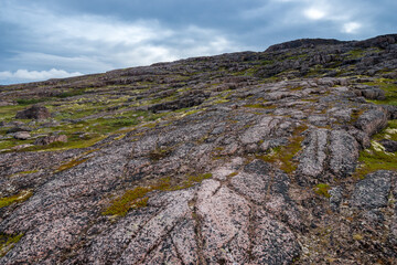Summer landscape of green polar tundra with boulders in the foreground. Northern nature in the vicinity of Teriberka (Kola Peninsula, Russia)
