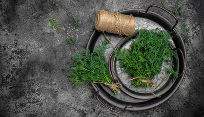 bunch of fresh organic dill on a metal tray on dark background. Long banner format. top view