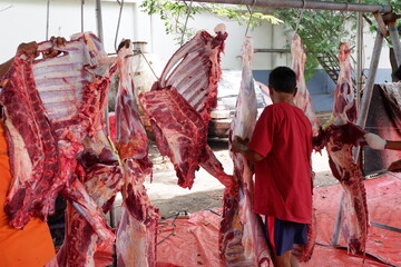 Fototapeta na wymiar East Jakarta, Indonesia - July 11, 2022: Man wearing a red shirt is cutting beef at the slaughter in idul adha