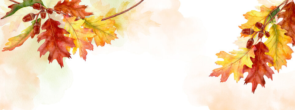 Watercolor autumn abstract background with seasonal leaves