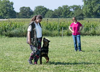 woman and rottweiler in nature