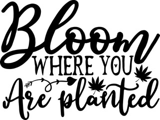 Spring svg design cut files