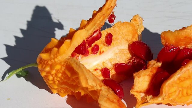 The red berries of Momordica charantia are visible from inside the fruit. Side view