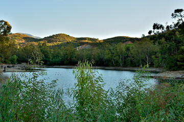 paisaje de un lago con el bosque de pinos y eucaliptos