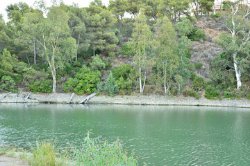 paisaje de un lago con el bosque de pinos y eucaliptos