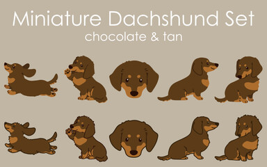 Chocolate and tan colored Miniature Dachshund illustrations set
