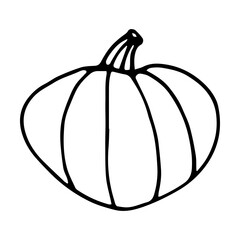 Pumpkin doodle style hand drawn vector illustration isolated on white