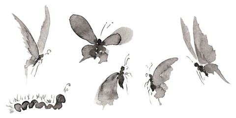 Set with five differents forms butterfly and caterpillar pictures isolated on white.  Hand drawn china ink on paper textures. Raster