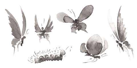 Set 5 with five differents forms butterfly and caterpillar pictures isolated on white.  Hand drawn china ink on paper textures. Raster
