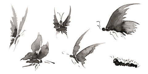 Set 6 with five differents forms butterfly and caterpillar pictures isolated on white.  Hand drawn china ink on paper textures. Raster bitmap image