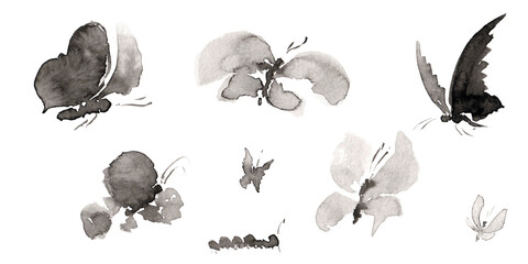 Set 7 with seven differents forms butterfly and caterpillar pictures isolated on white.  Hand drawn china ink on paper textures. Raster
