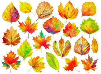 Isolated colorful autumn tree leaves, digital illustration based on render by neural network