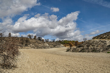 dry field, plowed, prepared for planting in the middle of a mountain burned by the fire of the summer fires.