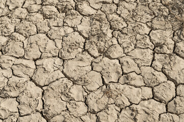 close-up of the bottom of a dry swamp, parched by drought, you can see the cracks that the drought, the evaporation of water, has left in the lake bed. Drought, heat, heat wave, climate change
