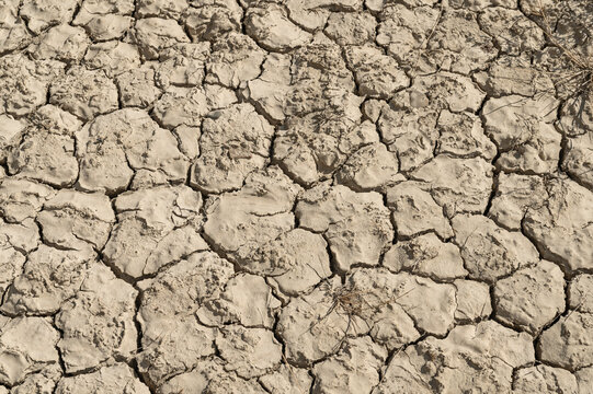 close-up of the bottom of a dry swamp, parched by drought, you can see the cracks that the drought, the evaporation of water, has left in the lake bed. Drought, heat, heat wave, climate change
