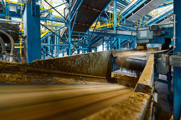 Conveyor carries trash pieces in recycling plant workshop
