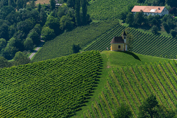 Beautiful view of Dreisiebner Chapel on a small hill surrounded by vineyard on a sunny summer day, near Sernauberg in Leutschach, south Styria, Austria