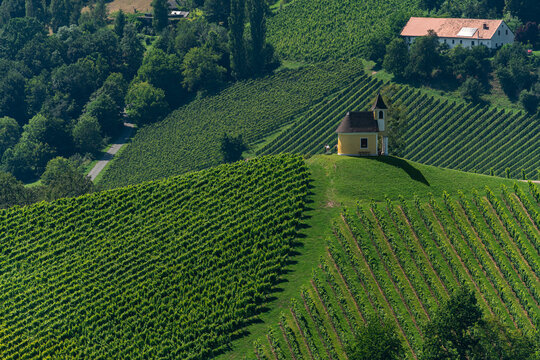 Beautiful view of Dreisiebner Chapel on a small hill surrounded by vineyard on a sunny summer day, near Sernauberg in Leutschach, south Styria, Austria