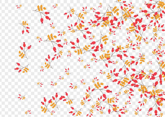 Yellow Herb Background Transparent Vector. Leaves Material Template. Burgundy Foliage Label. Sale Card. Leaf Natural.