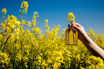 Rapeseed oil in a transparent glass bottle in hand on a background of rapeseed field