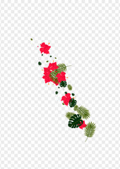 Pink Foliage Background Transparent Vector. Monstera Realistic Illustration. Light Green Hibiscus. Graphic Card. Green Decoration Texture.