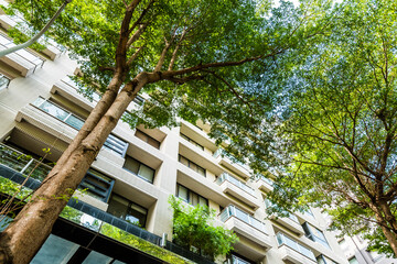 Low-angle view of green woods and the modern residential building background at the park in...