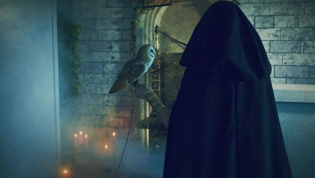  fantasy gothic woman queen witch holds white barn owl on hand pet bird. Back rear view. Princess vampire girl sexy face, black dress hood on head. old style dark night throne room full fog smoke. 4k