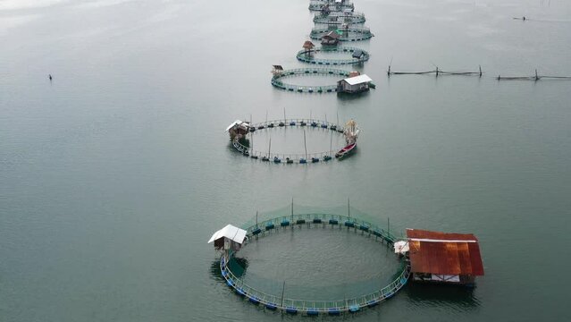 Fishing industry. Fish farming on an industrial scale. Aerial view of large scale traditional floating fish farms.
