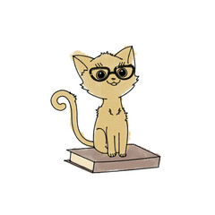 Grzeczny kotek w okularach siedzący na książce. Kot uczeń, gotowy do nauki. Kotek ciekawy świata. - obrazy, fototapety, plakaty