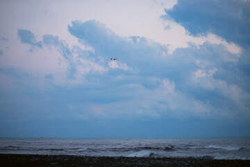 plane flies in the sky over the sea in the late evening