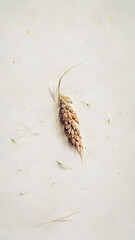 White background with ear of rye
