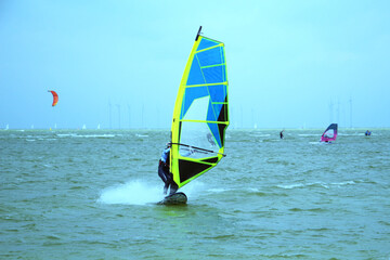 Female windsurfer jibing at IJsselmeer with sailing boats and wind turbines in background, Workum, Netherlands