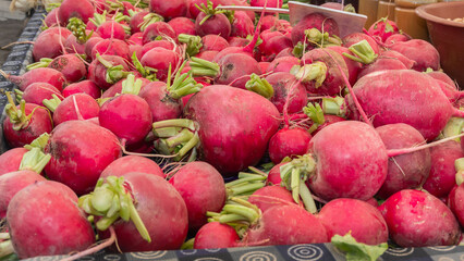 Fresh organic radish at the street market. background. Texture of natural radish. Close-up