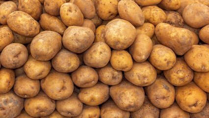 Fresh organic potatoes at the street market. background. Texture of natural potatoes. Close-up
