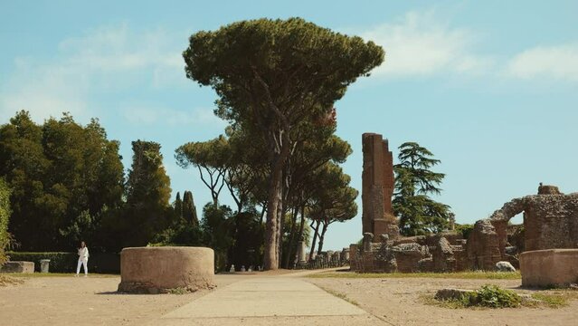 Rome_Forum_Mont Palatin_Arbre